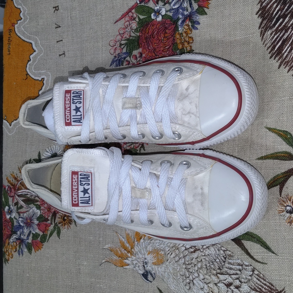 Converse All Star Chuck Taylor M7652 Optical White M7652 Canvas Lo Ox M5.5 W7.5